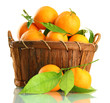 Ripe sweet tangerine with leaves in basket, isolated on white