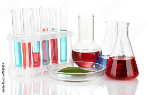 Photo: Test-tubes and green leaf tested in petri dish, isolated Test-tubes and green leaf tested in petri dish, isolated