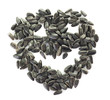 sunflower seeds pile isolated at white background