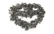 sunflower seeds pile isolated at white background