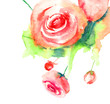Roses flowers
