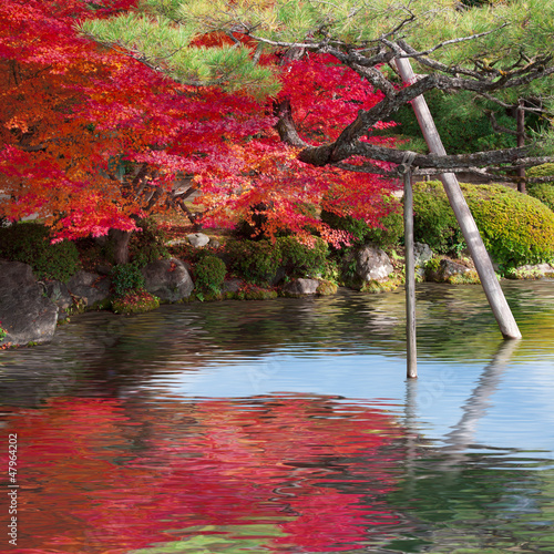 Photo: 日本庭園 日本庭園