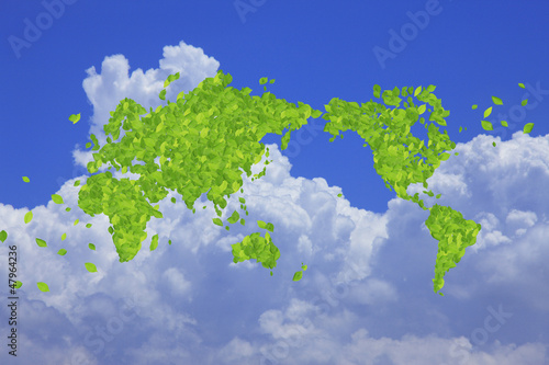 Photo: 葉っぱの世界地図 葉っぱの世界地図