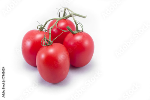 Photo: Tomatoes with vine isolated on white Tomatoes with vine isolated on white