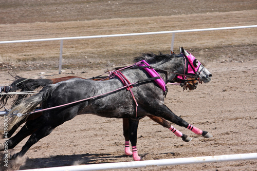Photo: chariot racing chariot racing