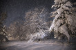 Night Scene, Dancing Shadows O...