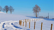 Foto: Winterweg Winterweg