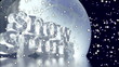 snow sports