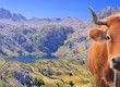 Lago del Valle, Somiedo, Asturias, España.