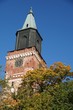 Dom Turku