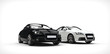 White And Black Business Cars