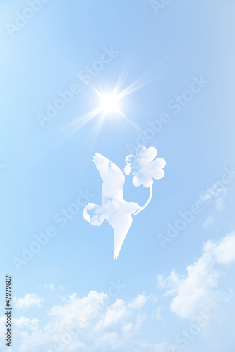 Photo: 雲の鳥 雲の鳥