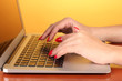 Detail of female hands using  computer on color background