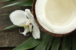 Coconut with leaves, on grey wooden background
