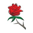 rose2612a
