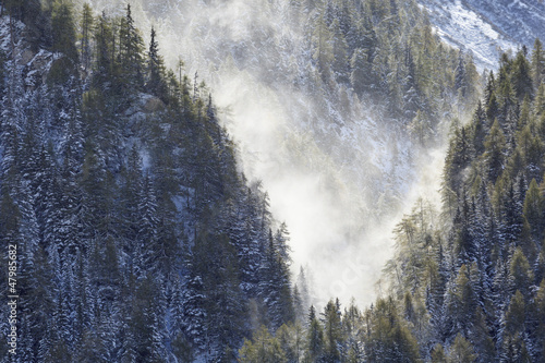 Photo: Forest ravine in snowfall Forest ravine in snowfall