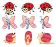 Vector: A butterfly, a ladybug and a snail A butterfly, a ladybug and a snail