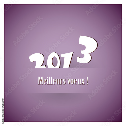 Vector: 2013 2013