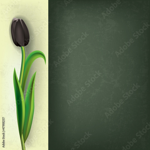 Vector: abstract grunge floral background with tulip abstract grunge floral background with tulip