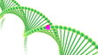 Gene in DNA