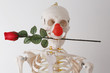 skelett mit roter nase,karneval