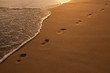 Footsteps in the Golden Sand