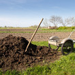 organic fertilizer