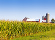 American Countryside in Summer Time