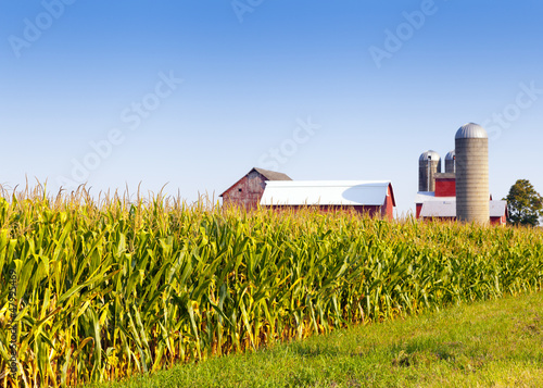 Photo: American Countryside in Summer Time American Countryside in Summer Time