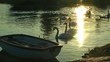 Lake, boat and swans
