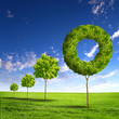 Photo: Green grass shape Green grass shape