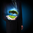Photo: Green tree Green tree