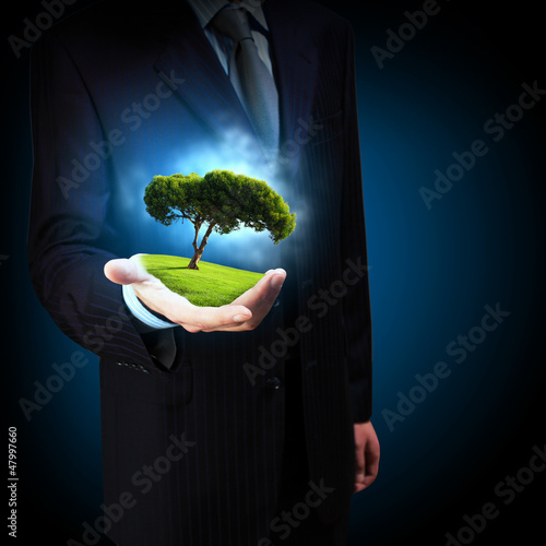 Photo: Green tree Green tree