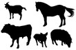 black silhouettes of domestic animals