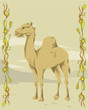 Camel in a decorative illustration