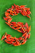 Chili alphabet - letter S