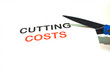 Cutting Costs