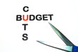 Budget Cuts