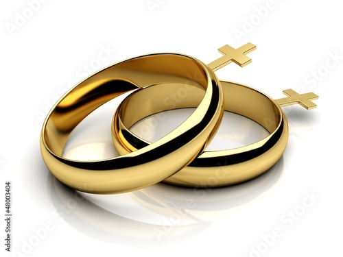 Illustration: Gay female wedding rings in 3D Gay female wedding rings in 3D