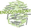 Word cloud for Endosymbiont