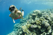 woman snorkeling on a coral reef
