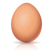 Realistic egg