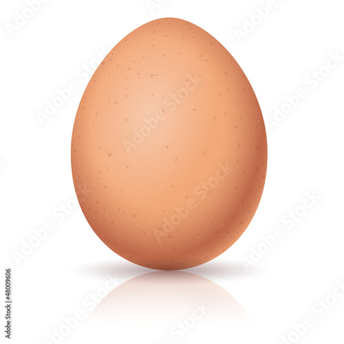 Vector: Realistic egg Realistic egg