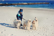 The boy walks on a beach with dogs against ocean in the autumn a
