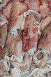 Photo: calamari calamari