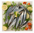 Sardine - Sardines