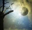 Fantasy mystery