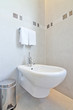 Bin and a bidet in the bathroom.