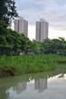 Two high rise buildings in Singapore as seen from a local park.