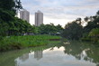 Two high rise buildings in Singapore as seen from a local park.